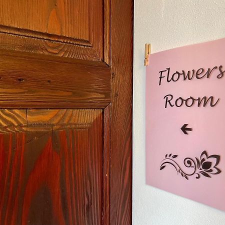 1912 - Flowers Room - Budget For Young Locarno Eksteriør bilde